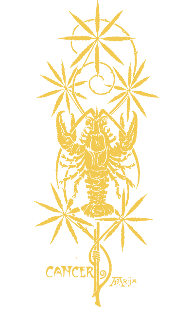 Ilustração do signo de Câncer