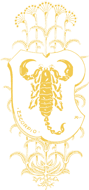 Ilustração do signo de Escorpião